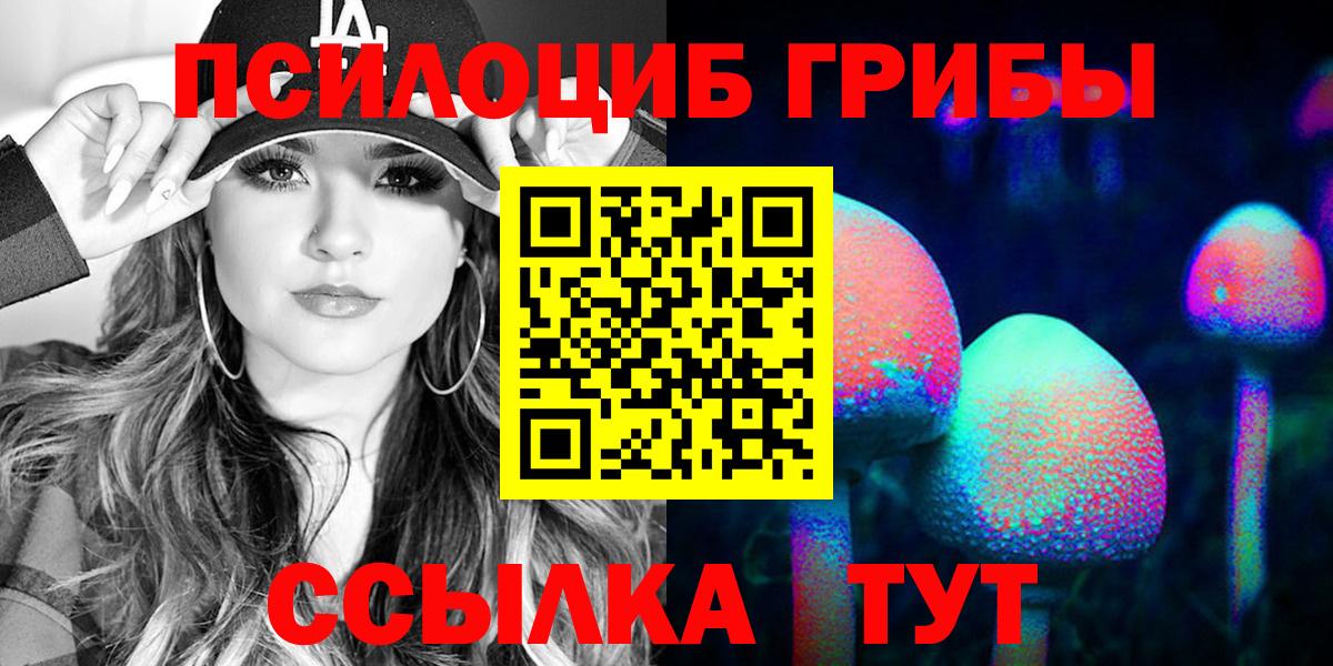 Лесной  цена наркотик  Псилоцибиновые грибы Cubensis  Вход с VPN  Галлюциногенные грибы MAGIC MUSHROOMS 