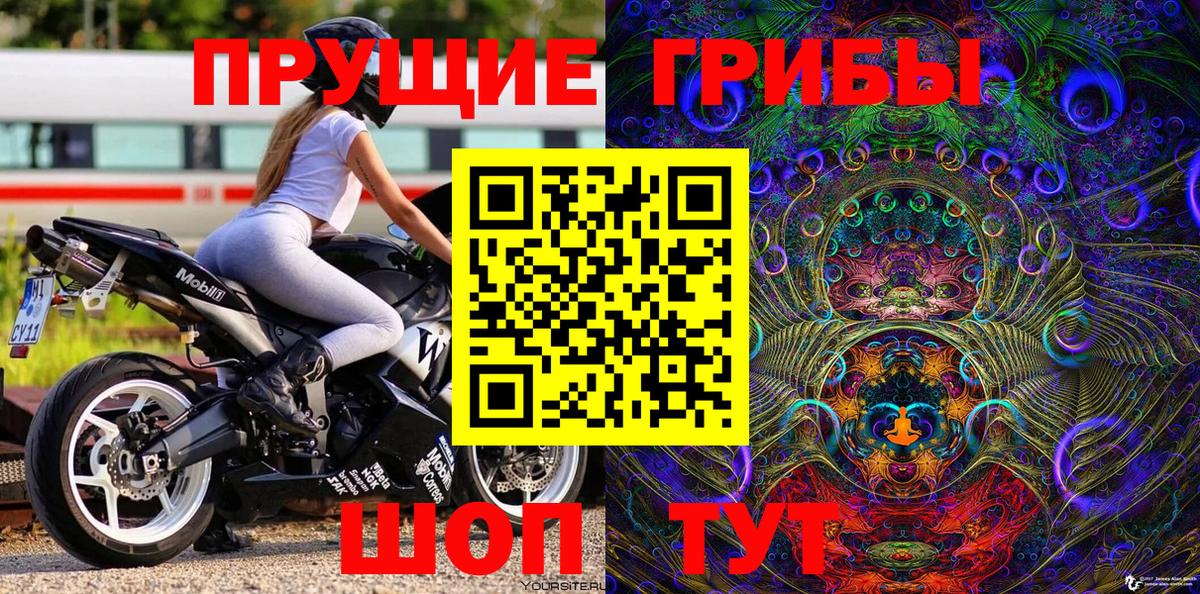 Псилоцибиновые грибы Psilocybine cubensis Лесной